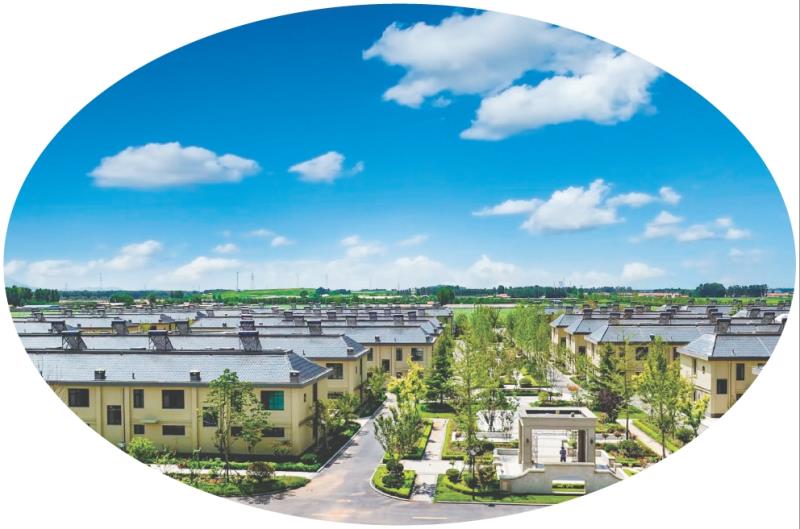 图为莒县招贤镇武家曲坊村。