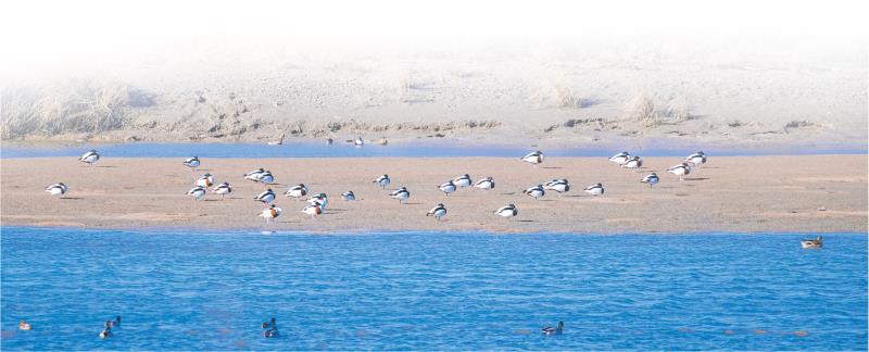 傅疃河
薄林 摄