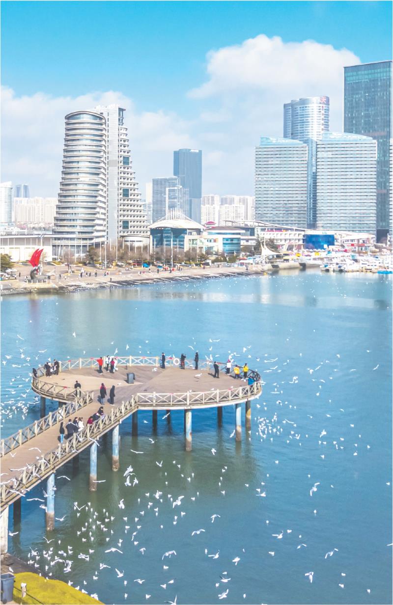 　　日照世帆赛基地　
    周家平　摄