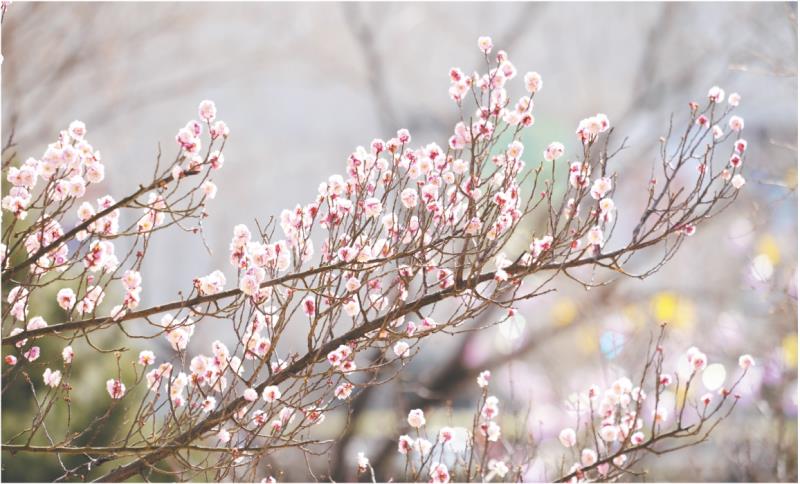 银河公园
武爱民 摄