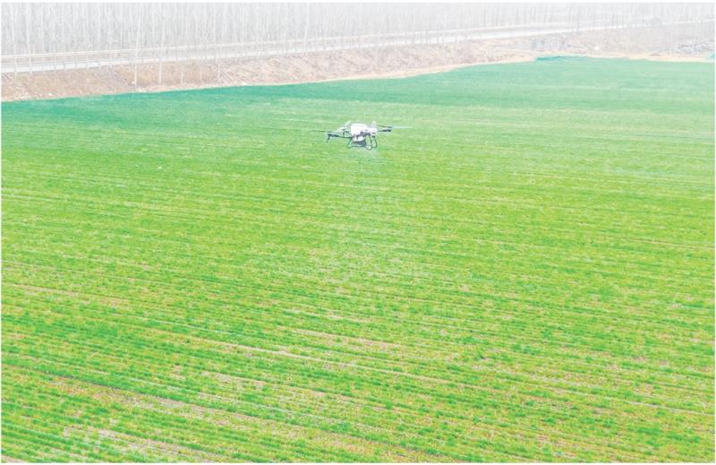　　全媒体记者　黄玉栋　报道
　　3月4日，在莒县招贤镇庄家庄子村，一架植保无人机正在给麦田施肥。
　　眼下正值冬小麦管理关键期，我市各地抢抓农时、科学施策，为夏粮丰收打下坚实基础。