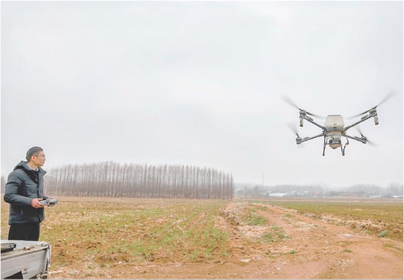 　　全媒体记者　韩郡月　报道
　　3月3日，在山海天旅游度假区两城街道的田间地头，一架植保无人机在工作人员的精准操控下，将肥料均匀地喷洒在麦苗上。
　　据悉，该区抢抓雨后墒情有利时机，开展小麦春季追肥作业。与传统人工施肥相比，农用无人机这一智慧农业技术的推广应用大幅提升了施肥效率，真正实现了科技助农、科技春耕，为小麦返青拔节筑牢了根基。