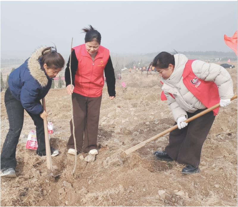 本报通讯员 尹秋于 报道
3月12日,莒县寨里河镇组织青年志愿者开展义务植树活动。
活动现场志愿者们分工协作、默契配合,挖坑、扶苗、培土、踩实、浇水,每个环节都一丝不苟。此次植树活动不仅美化了生态环境,更强化了青年志愿者的环保意识与责任担当,引导广大青年主动植绿、护绿、爱绿,以实际行动为家乡添绿赋能。