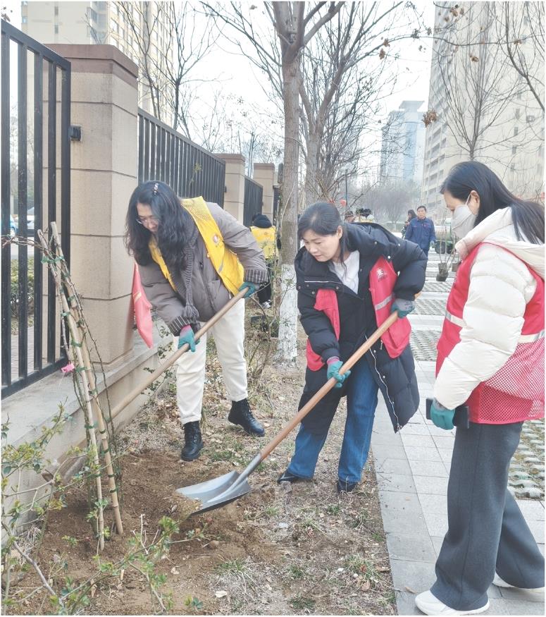 全媒体记者 鲁晓凡 报道
3月12日,在秦楼街道翠湖佳园北三区北侧,志愿者们正在栽种藤本月季。当日,尚德社区联合小区业委会、海纳物业北三区服务中心启动“绿满家园·美化园区”花卉栽植活动。
此次活动以花卉栽植为抓手,既美化了园区环境、提升居住品质,也让居民从环境整治的“受益者”变身“参与者”,进一步凝聚了社区共建共治合力。