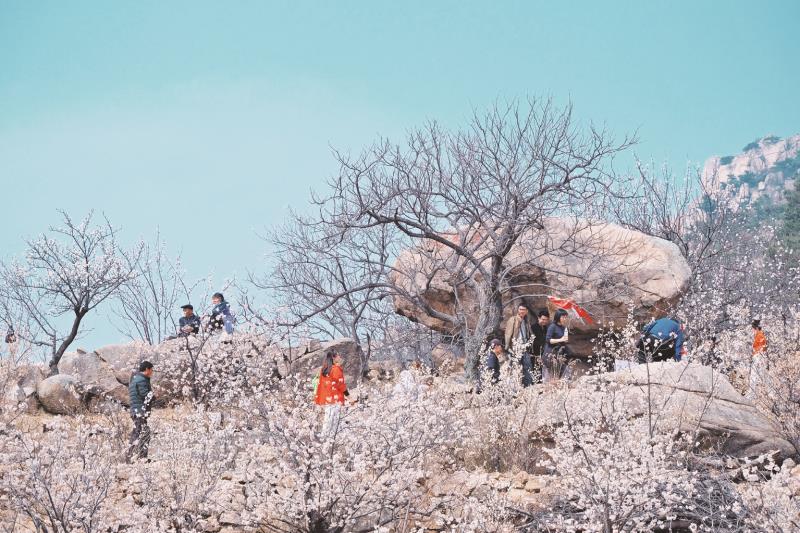 大旺村游人如织