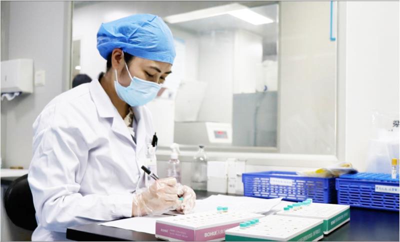 　　医护人员正在对血清学产前筛查样本进行核对编号