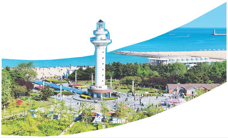 　　五月的日照　冷炳豪　摄