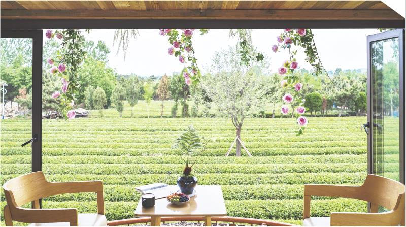 “云过山丘”茶旅园
