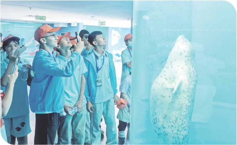 探索海洋世界